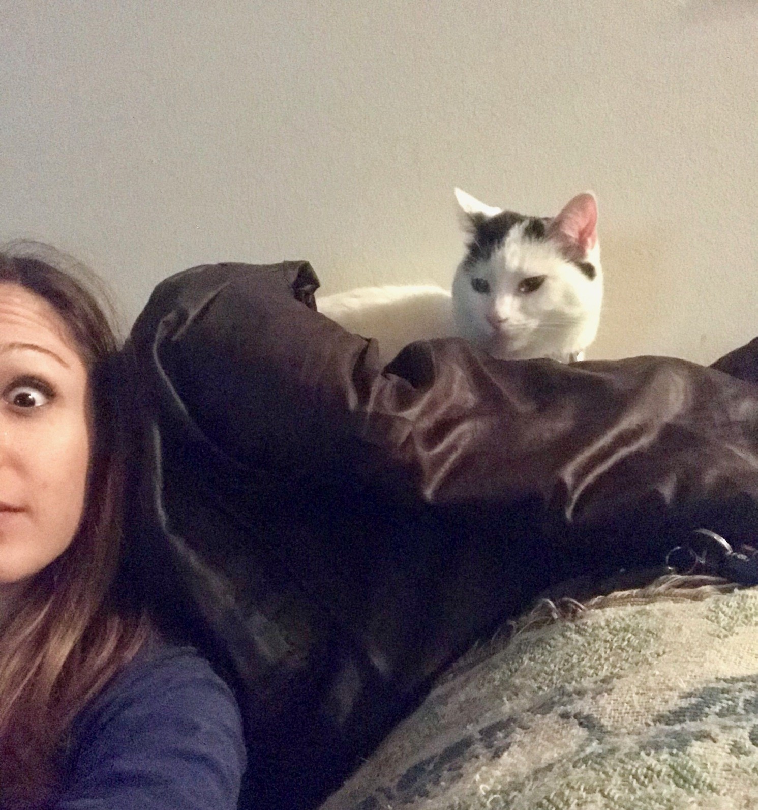 Carla cat